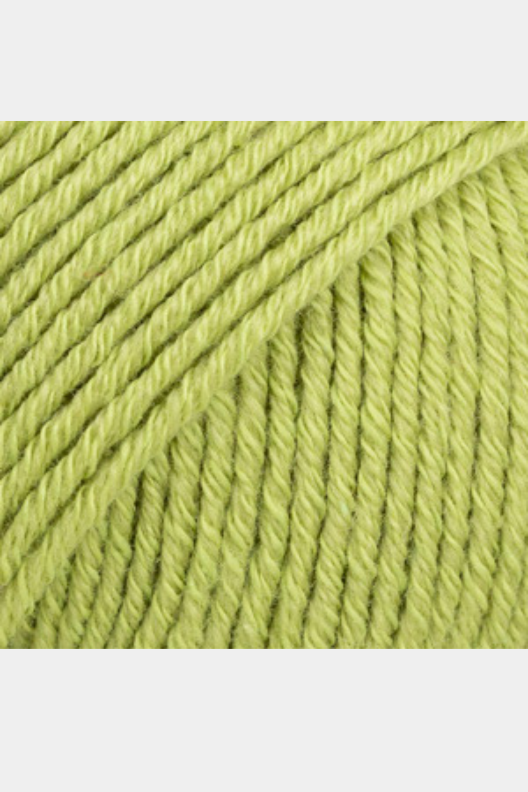 Cotton merino