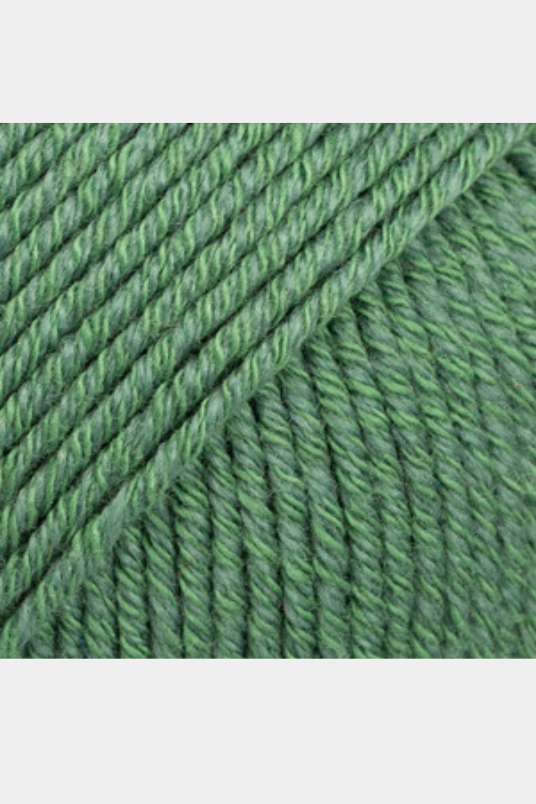 Cotton merino