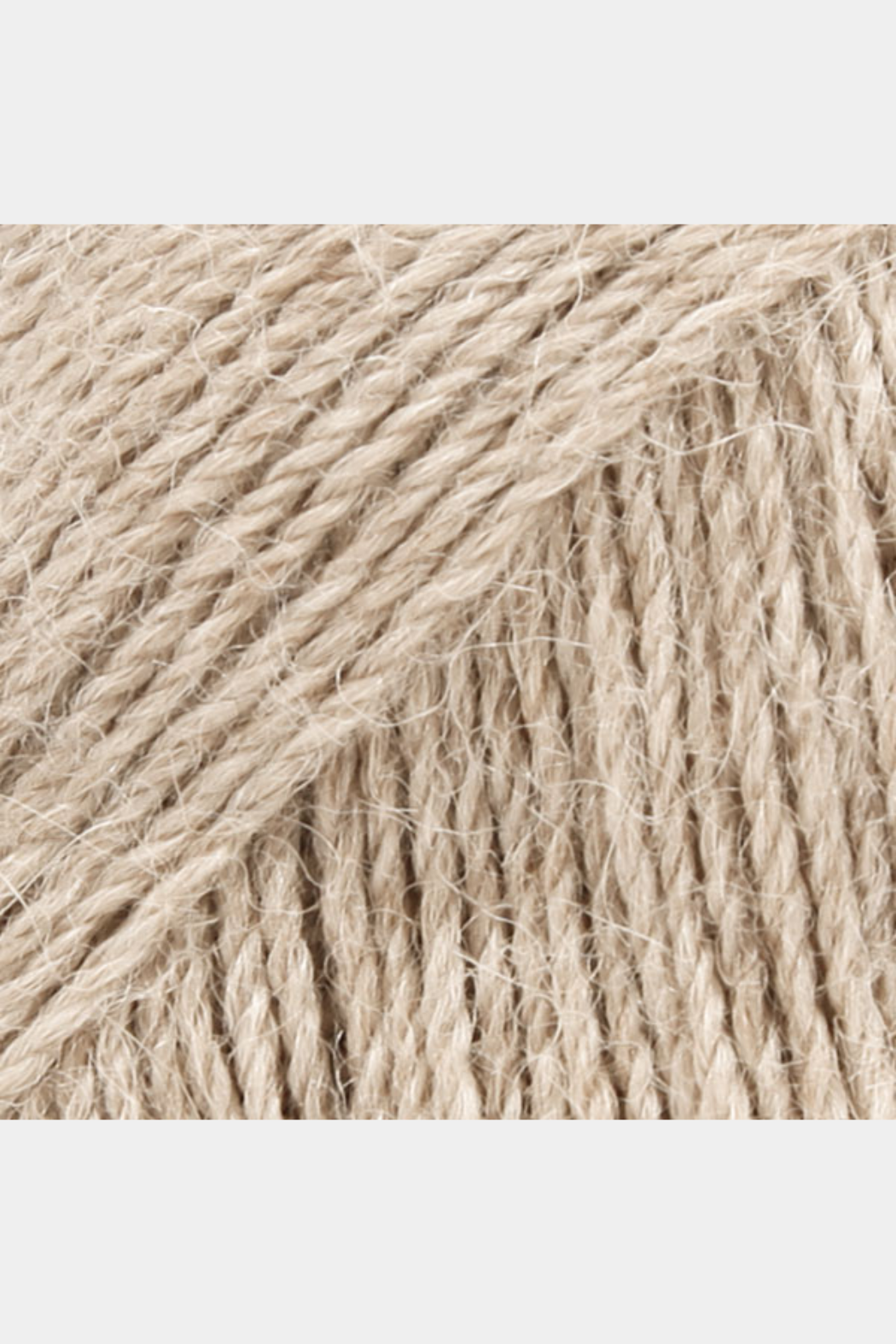 Alpaca