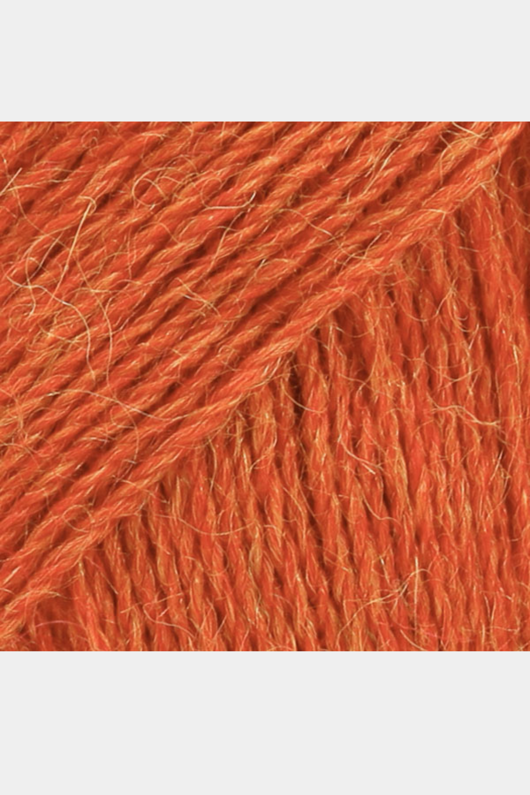 Alpaca