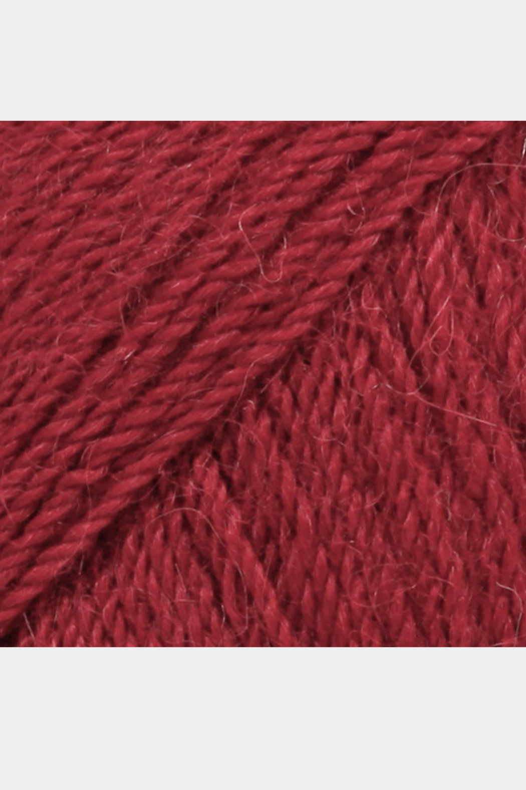 Alpaca