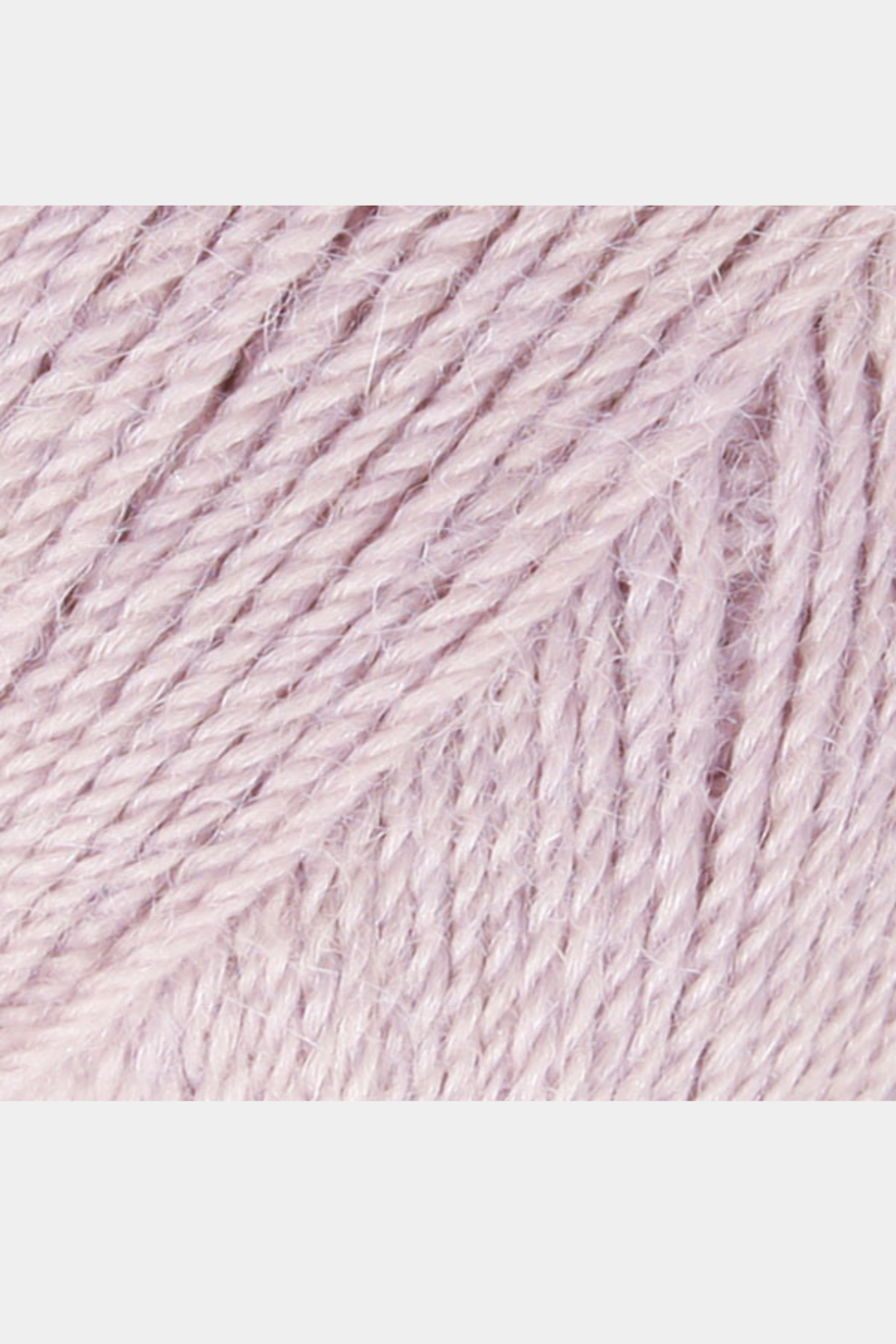Alpaca