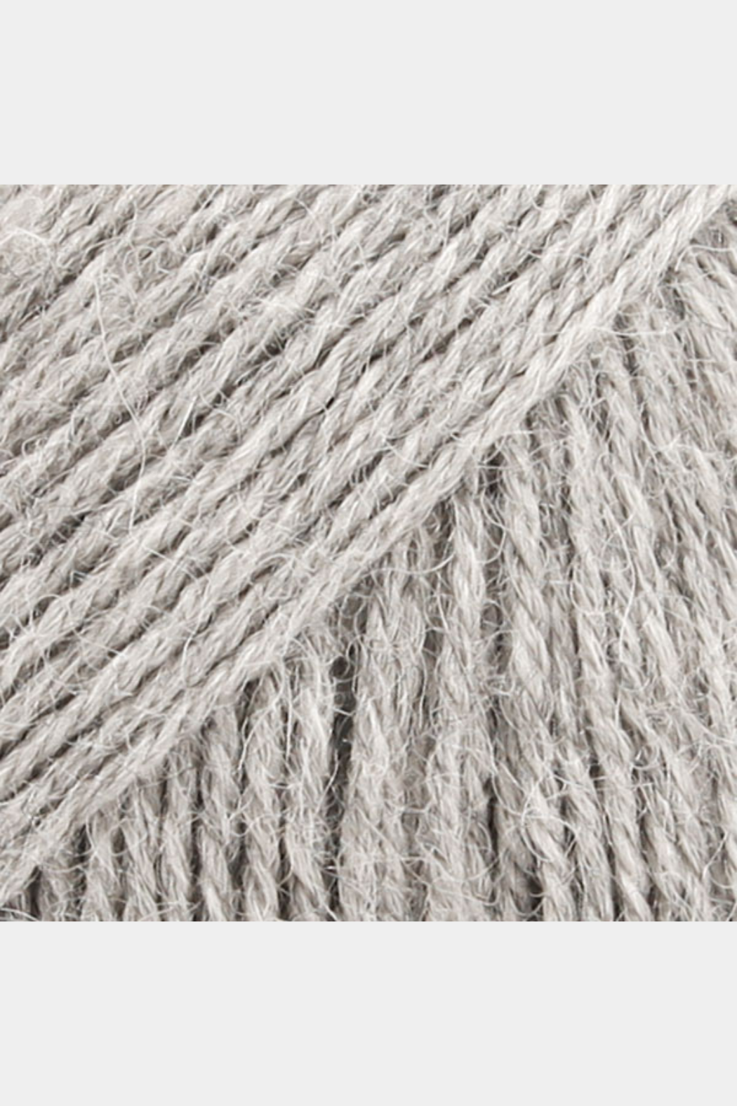Alpaca