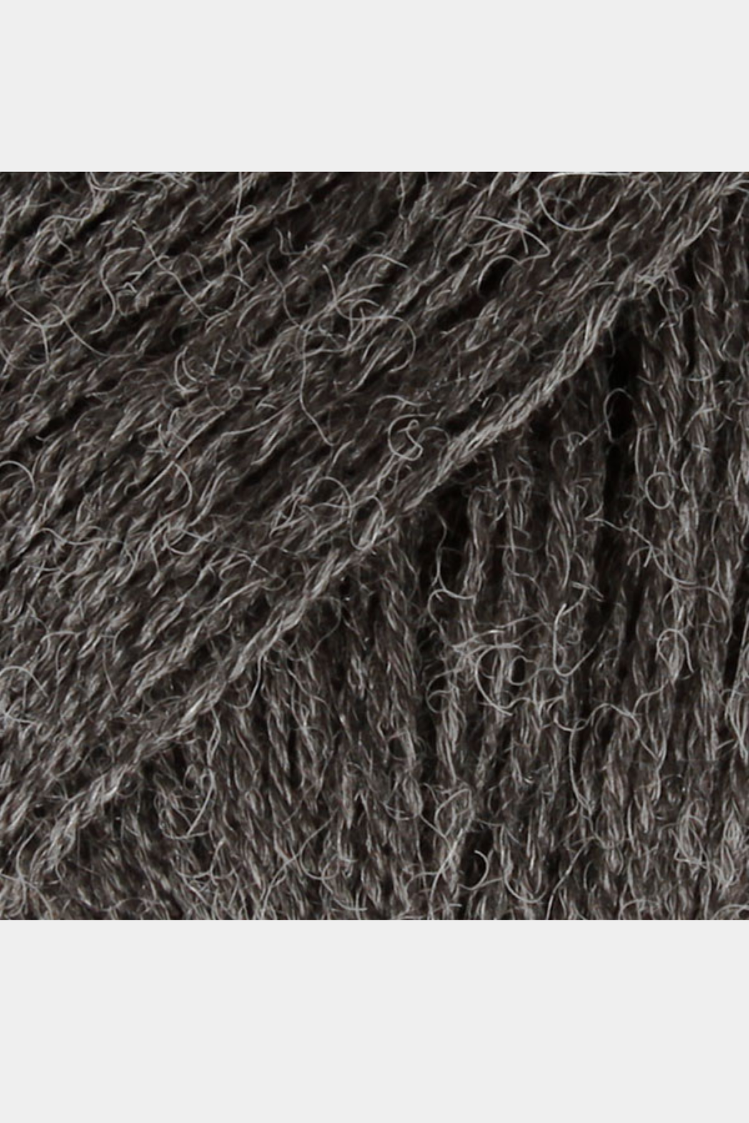 Alpaca