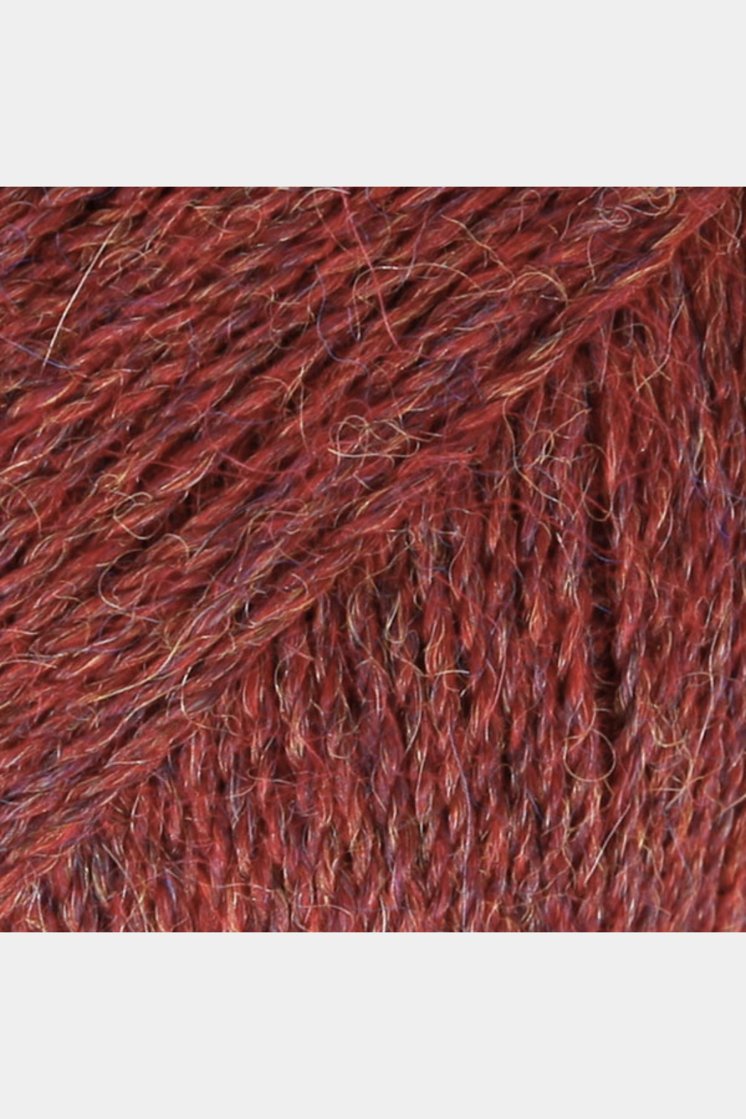 Alpaca