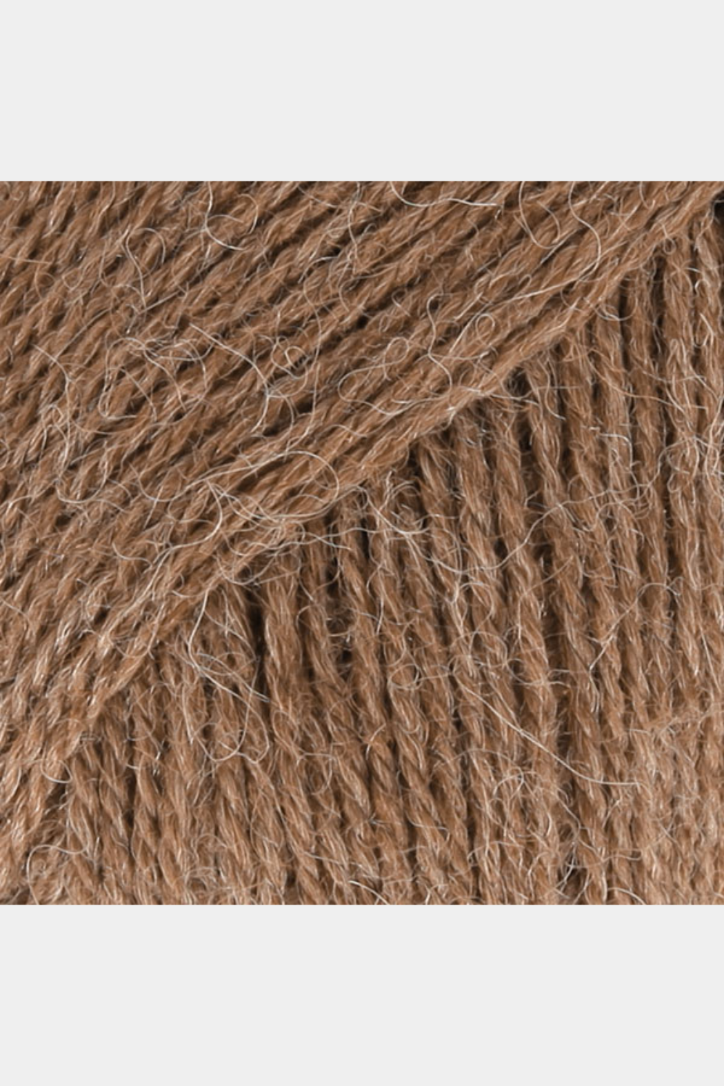 Alpaca