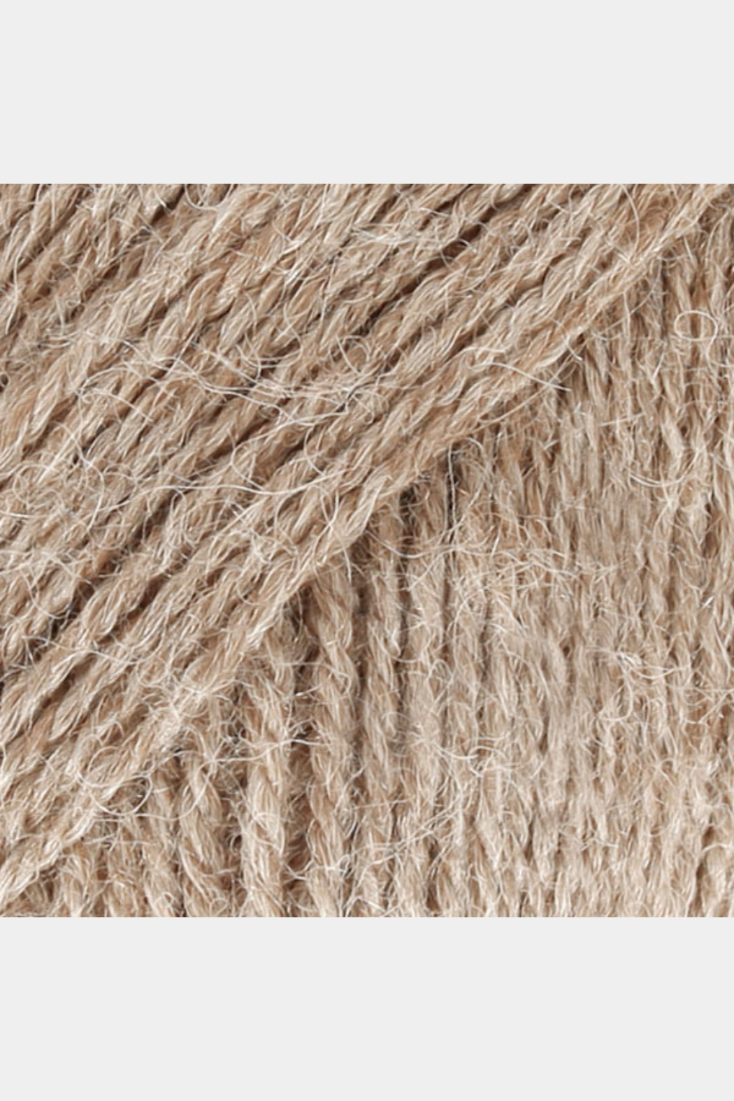 Alpaca
