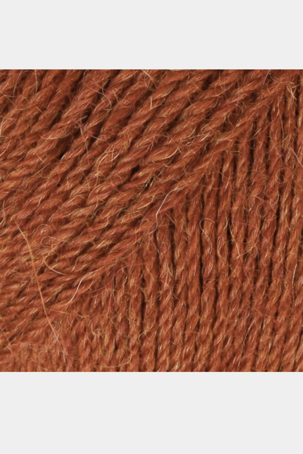 Alpaca